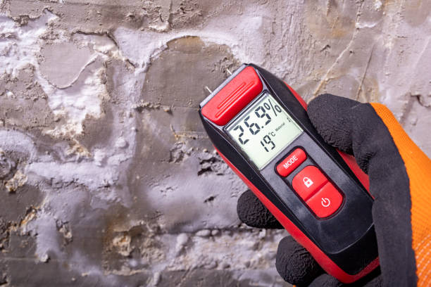 Mold Removal and Inspection in Mendota Heights, MN