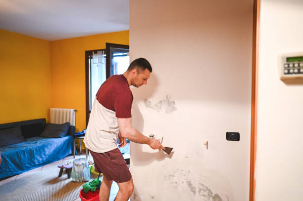 Best Office Mold Removal Services  in Mendota Heights, MN